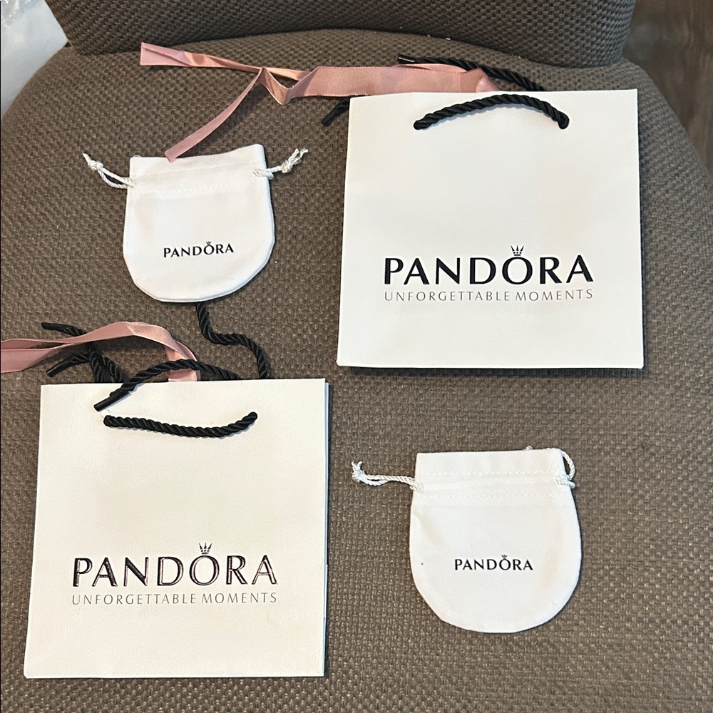 Pandora White Gift Bags and Pouches Set